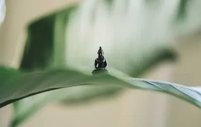 聚焦体育赛事，提供专业教学素材 - 看球吧1